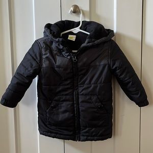 Crazy 8 toddler puffer jacket